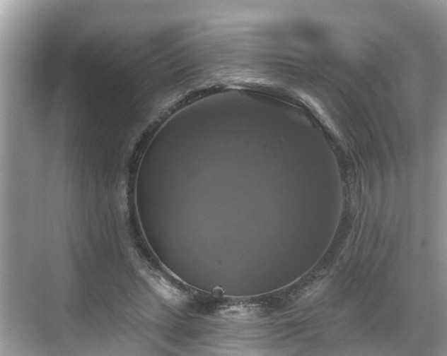 X0000068840447200605081243