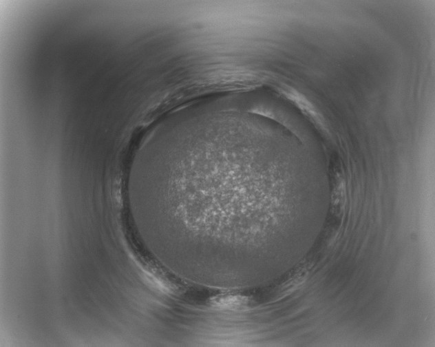 X0000068840452200605081243