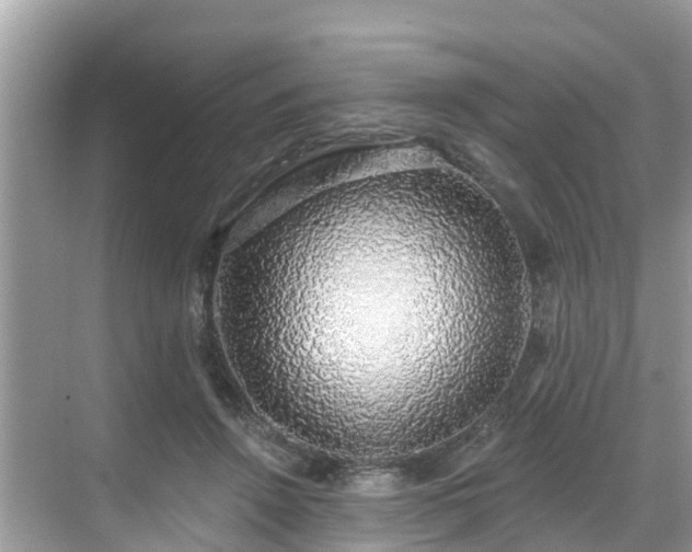 X0000068840456200605081243