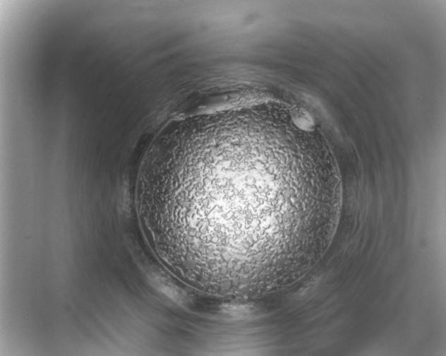 X0000068840457200605081244