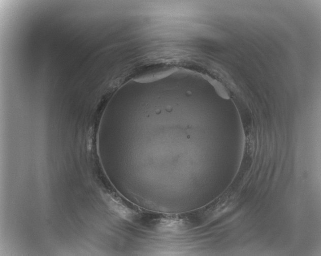 X0000068840458200605081244