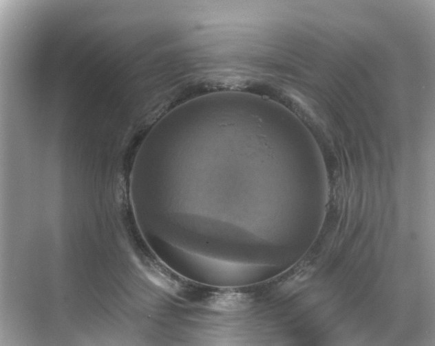 X0000068840459200605081244