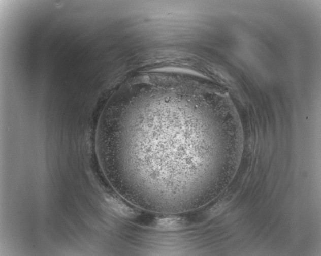 X0000068840461200605081244