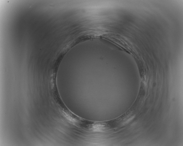 X0000068840462200605081244