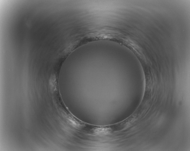 X0000068840465200605081244