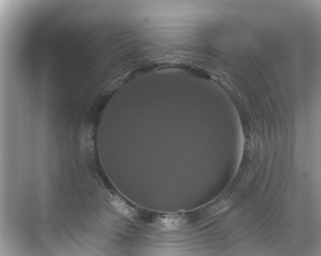 X0000068840466200605081244