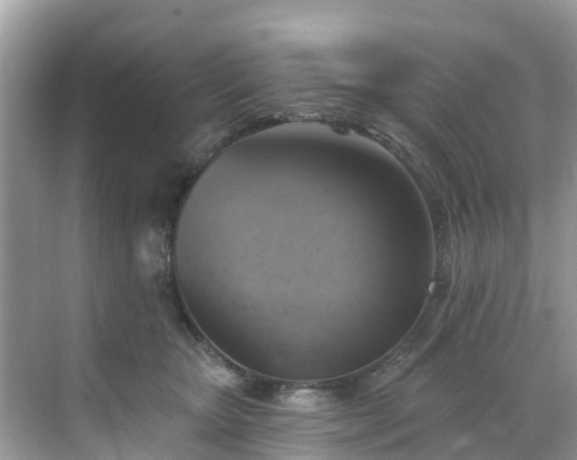 X0000068840467200605081244