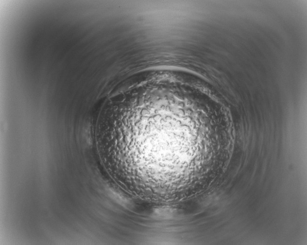 X0000068840470200605081244