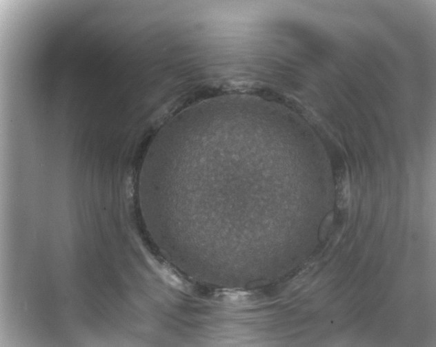 X0000068840472200605081244