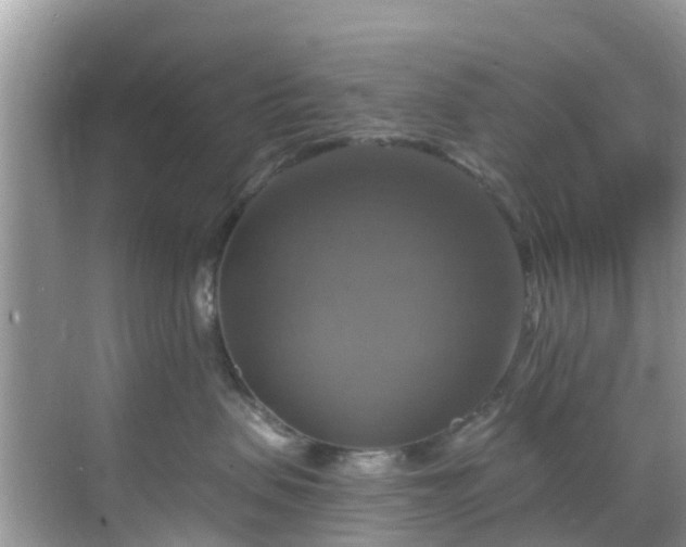 X0000068840479200605081244