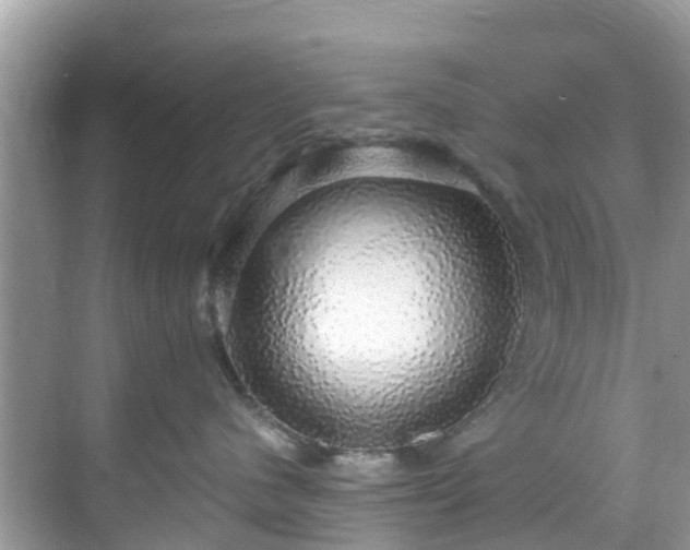 X0000068840480200605081244