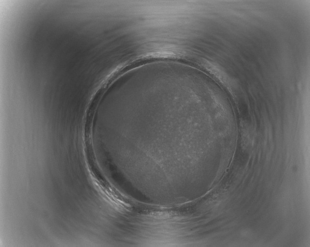 X0000068840482200605081243