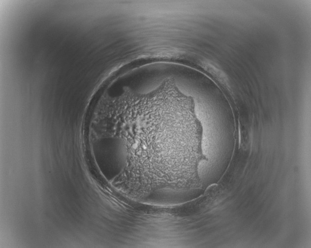 X0000068840483200605081243