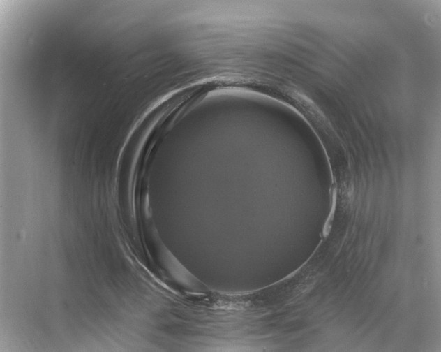 X0000068840484200605081243