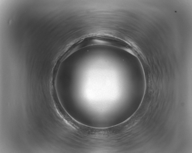 X0000068840485200605081243