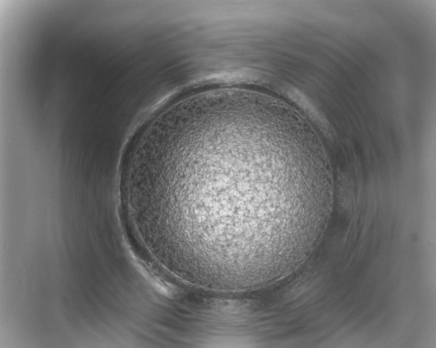 X0000068840486200605081243