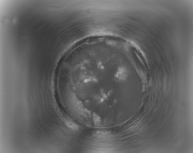 X0000068840487200605081243