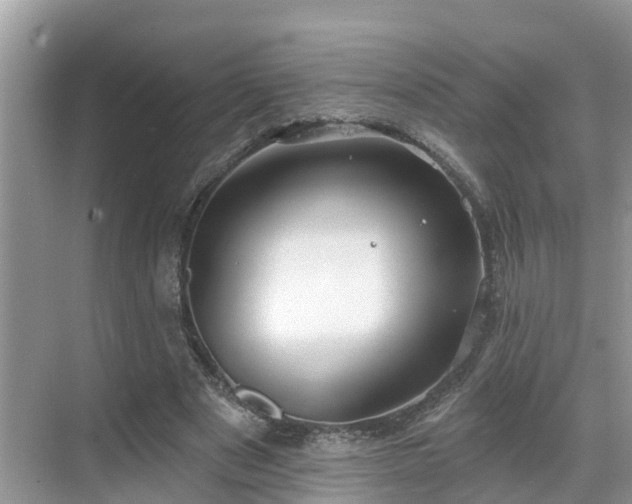 X0000068840489200605081243