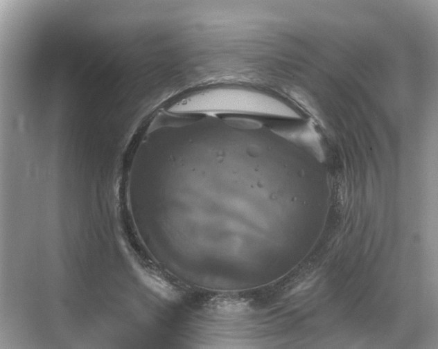 X0000068840491200605081243