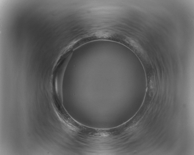 X0000068840492200605081243