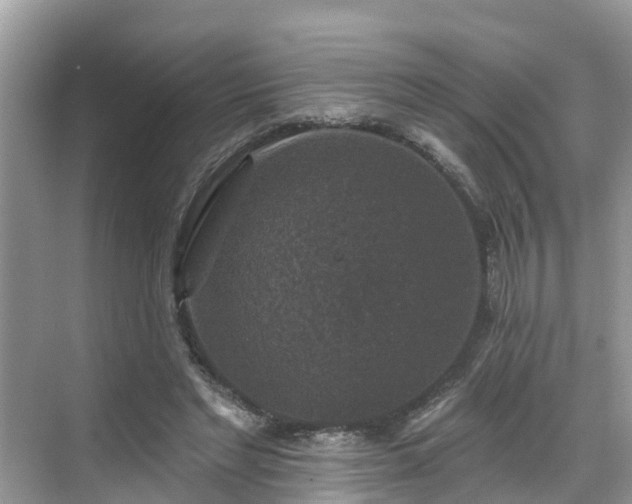 X0000068840493200605081243