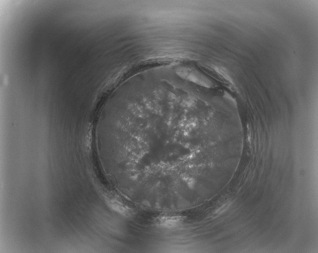 X0000068840495200605081243