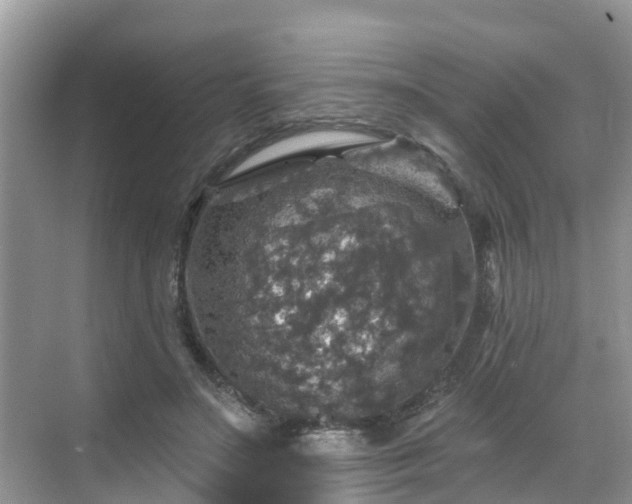 X0000068840499200605081243