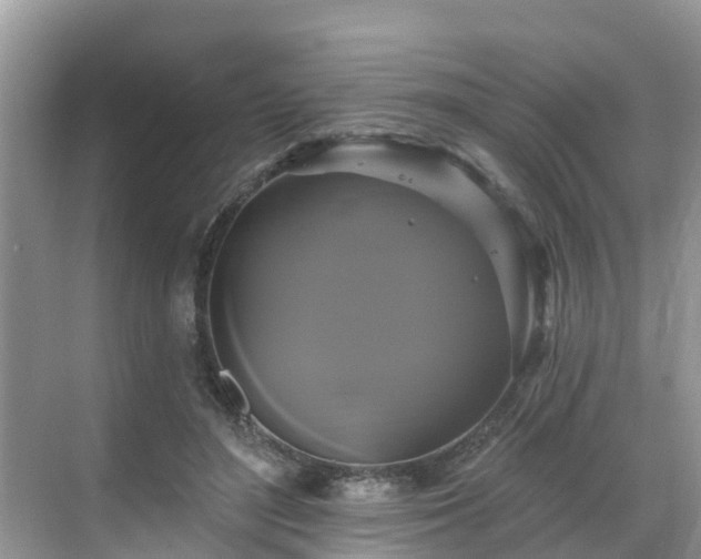 X0000068840500200605081243