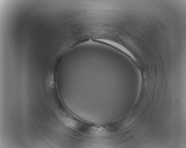 X0000068840502200605081243