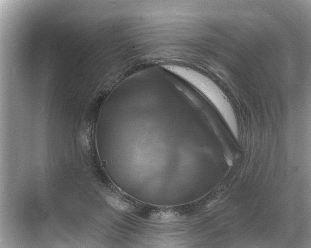 X0000068840503200605081243