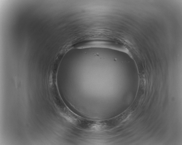 X0000068840504200605081243