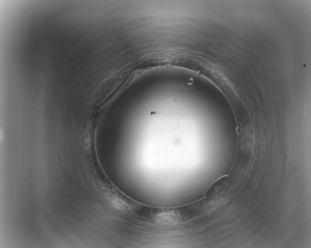 X0000068840505200605081243