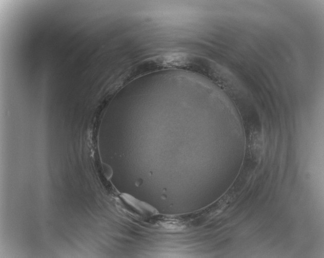 X0000068840506200605081243