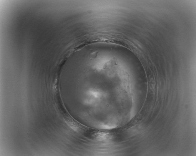 X0000068840507200605081243