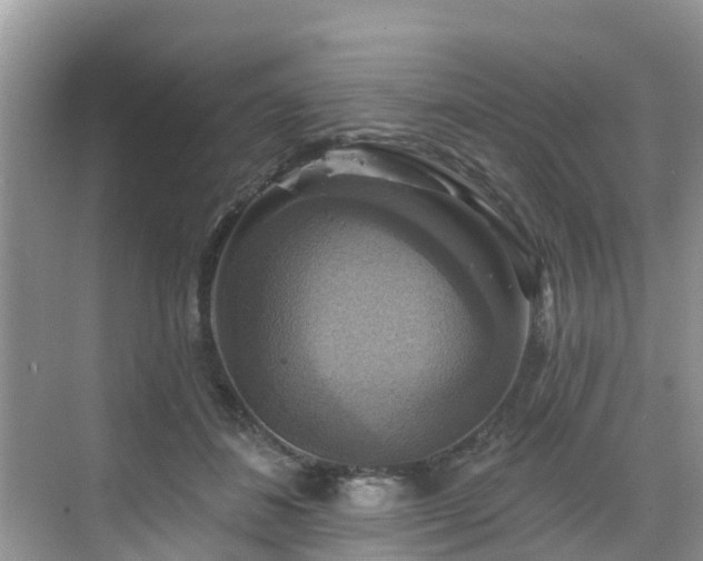 X0000068840508200605081243