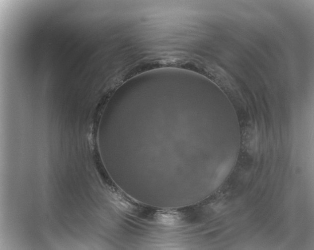 X0000068840510200605081243