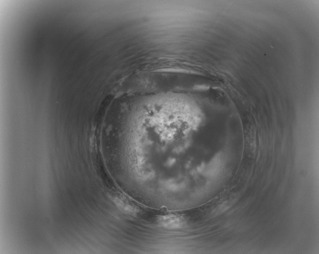 X0000068840511200605081243