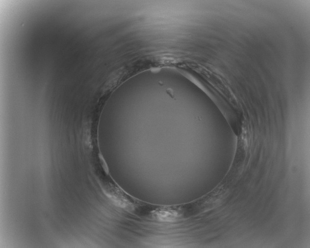 X0000068840512200605081243