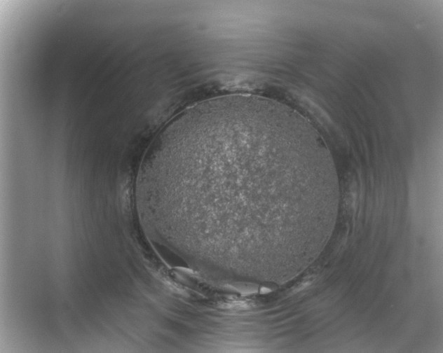 X0000068840513200605081243