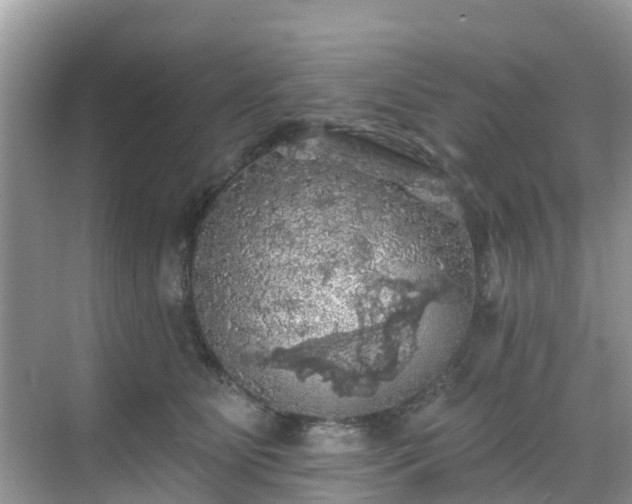 X0000068840515200605081243