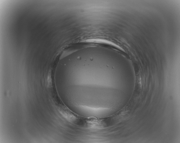 X0000068840516200605081243