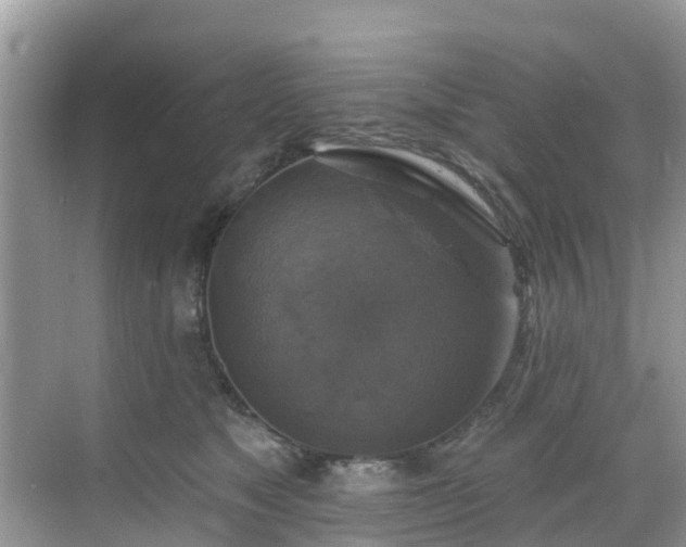 X0000068840517200605081242