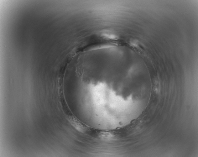 X0000068840519200605081242