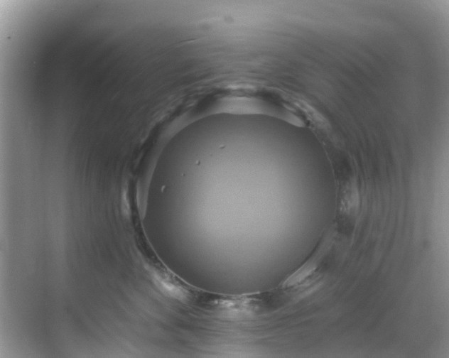 X0000068840524200605081242