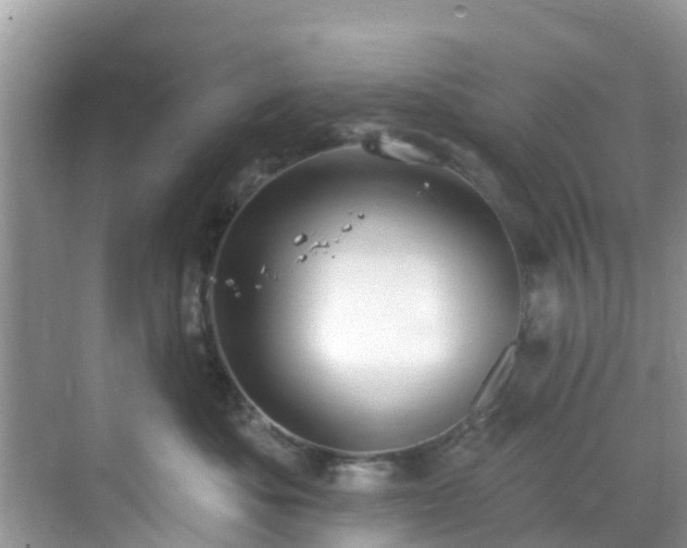 X0000068840525200605081242