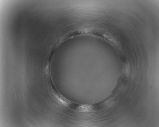 X0000068840526200605081242