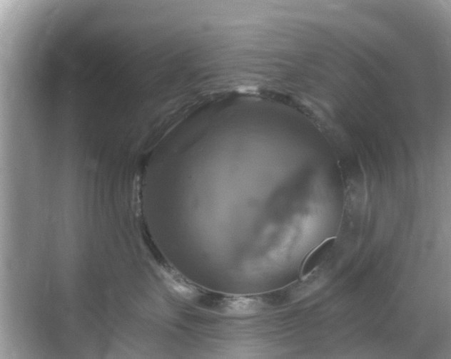 X0000068840527200605081242