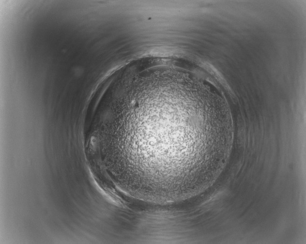 X0000068840530200605081242