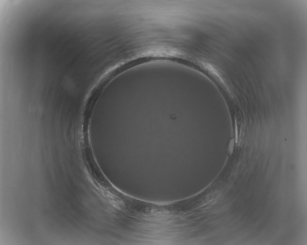 X0000068840531200605081242