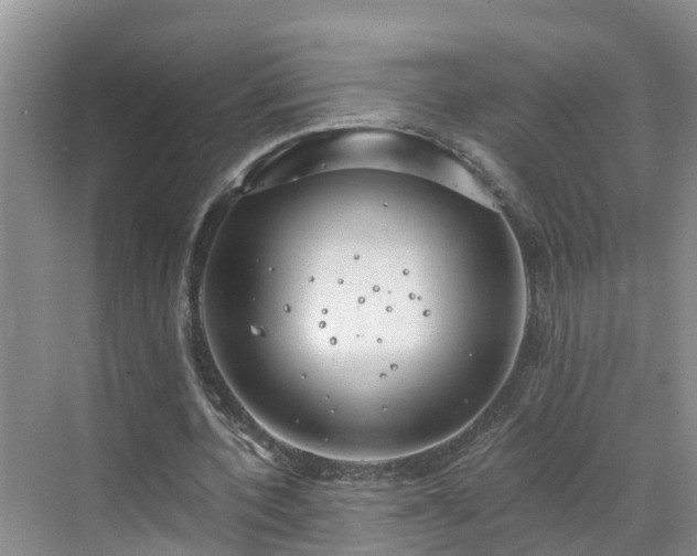 X0000068840532200605081242